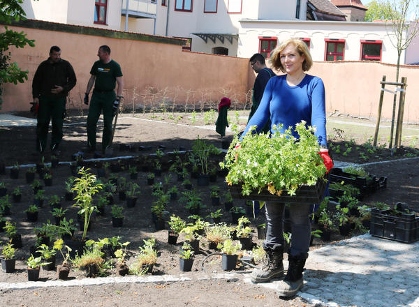 Landschaftsarchitektin Petra Pelz mit einer Kiste Storchschnabel.