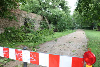 Sturmschäden 22 Juni 2017 Alter Friedhof