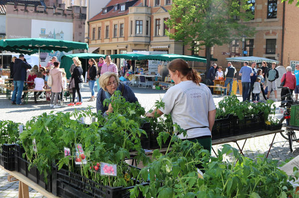 Der Regionalmarkt auf dem Hagentorplatz beim Saisonauftakt im Mai