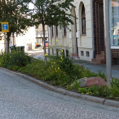 Staudenbeete Magdeburger Straße